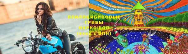 молекула духа Протвино