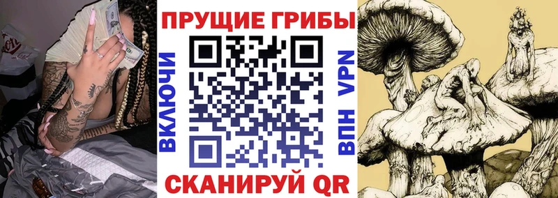 Псилоцибиновые грибы ЛСД где купить наркоту Безенчук
